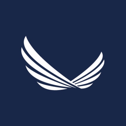 Flying Wings